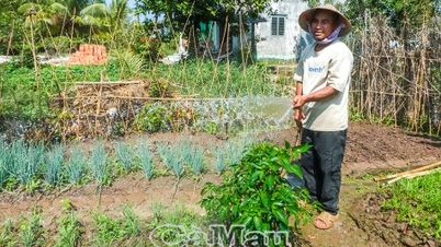 Rumah yang selesa menyediakan asas untuk kerjaya yang berjaya.