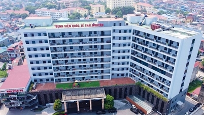 TNH Hospital Group (TNH) 2026: En større overhaling på toppnivå og en milliardsatsing på randen av negativ fortjeneste.