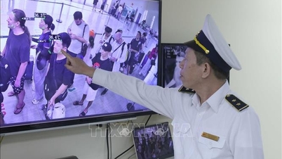 เวียดนามยังไม่พบผู้ป่วยติดเชื้อไวรัสฮันตาไวรัสสายพันธุ์แอนเดียนแต่อย่างใด