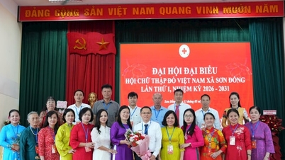 Le premier congrès de la Société de la Croix-Rouge de la commune de Son Dong a été un grand succès.