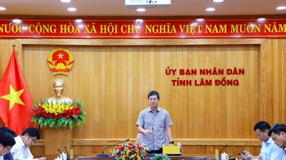 ラムドン省は、雨季の到来を前に、交通を阻害する土砂崩れの復旧作業を加速させている。