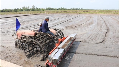 Integratie van digitale technologie en toenemende mechanisatie in de rijstteelt.