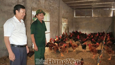 Коммуна Донг Тьен Хунг: Ветераны ярко проявляют себя в мирное время.