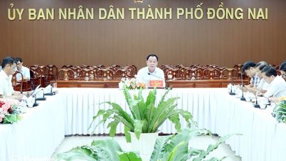 La ville de Dong Nai surmonte les obstacles aux projets du parc industriel Bau Can - Tan Hiep et Xuan Que - Song Nhan.