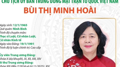 ជីវប្រវត្តិរបស់លោកស្រី ប៊ូយ ធី មិញ ហ្វាយ ប្រធានគណៈកម្មាធិការកណ្តាល រណសិរ្សមាតុភូមិវៀតណាម។