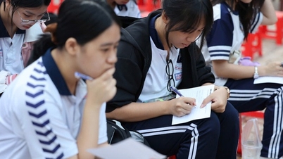NÓNG: Công bố thời gian, kế hoạch tuyển sinh lớp 6 ở Trường Trần Đại Nghĩa và 4 trường còn lại