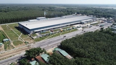 Tanifood Tay Ninh fabrikasının açık artırması: Bayan Truong My Lan'ın varlıkları 1,216 milyar VND'ye düştü.