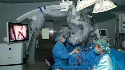 Promover o treinamento avançado em microcirurgia para jovens médicos e transferir tecnologia médica moderna.