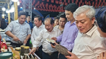 Hanoi City Cooperative Union: Förderung und Steigerung der Effektivität von Wettbewerbsbewegungen.