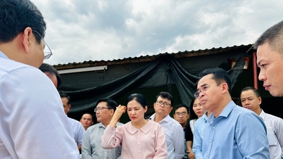 Liderii orașului Da Nang inspectează proiectele școlare întârziate din comunele Tam Xuan și Nui Thanh.