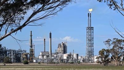 OPEC obniża swoją prognozę światowego popytu na ropę.