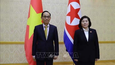 Minister van Buitenlandse Zaken Le Hoai Trung bezoekt Noord-Korea.