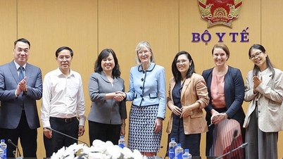 Minister Dao Hong Lan traf sich mit der australischen Botschafterin Gillian Bird und arbeitete mit ihr zusammen, um die Kooperation im Gesundheitssektor zu fördern.