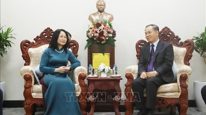 Laos sangat menghargai kerja sama dengan Vietnam di bidang informasi dan komunikasi.