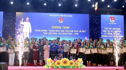Kesatuan Belia Wilayah Lam Dong memuji 116 orang belia yang cemerlang kerana mengikuti ajaran Presiden Ho Chi Minh.