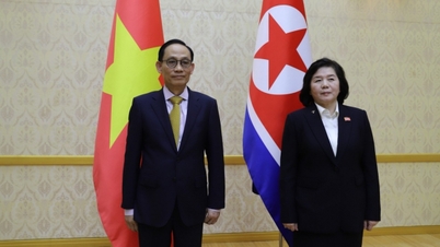 Speciaal gezant van secretaris-generaal en president To Lam is werkzaam in Noord-Korea.