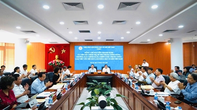 Tập trung nghiên cứu khoa học xã hội cơ bản phục vụ tư vấn chiến lược
