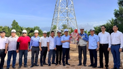 Galerie foto: Ministrul adjunct Nguyen Hoang Long inspectează progresul rețelei electrice din Phu Quoc.