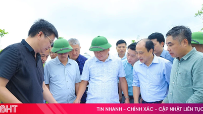Il a été convenu de diviser le projet d'indemnisation et de déblaiement des terrains pour la ligne ferroviaire à grande vitesse traversant Ha Tinh en projets composants indépendants.