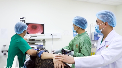Včasný screening a personalizovaná léčba rakoviny gastrointestinálního traktu.