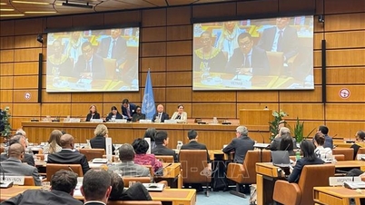 Stärkung der Zusammenarbeit zwischen Vietnam und den Vereinten Nationen im Bereich der Verbrechensverhütung.