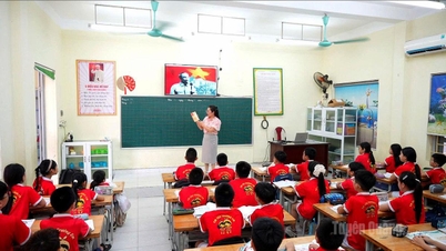 Desenvolvimento de habilidades em línguas estrangeiras desde o ensino fundamental.