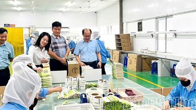 Lực đẩy phong trào nông dân sản xuất kinh doanh giỏi ở Hy Cương