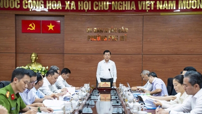 Het centrale inspectieteam inspecteert de werking van het tweeledige lokale bestuurssysteem in Ho Chi Minh-stad.