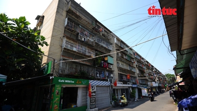Città di Ho Chi Minh: Proposta di trasferimento di 6 condomini nel quartiere residenziale di Thanh Da.