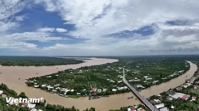 Menghijaukan jelapang padi No. 1 Vietnam: Beralih daripada "respons pasif" kepada "penyesuaian proaktif"