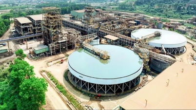 Компания Masan High-Tech Materials внедряет инновации в свою деятельность и развивается в соответствии с принципами устойчивого развития.