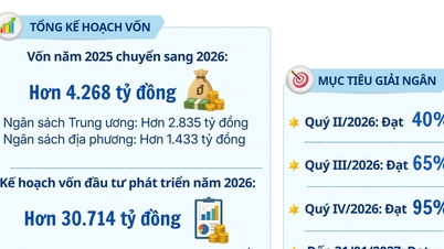 Wilayah Lam Dong menyasarkan untuk mengagihkan 100% modal pelaburan awam menjelang 2026.