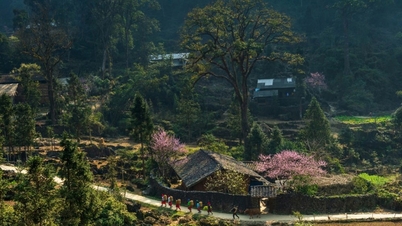 Tuyên Quang ban hành quy chế bảo vệ Công viên địa chất Đồng Văn
