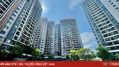 TP Hồ Chí Minh đẩy nhanh tiến độ giải quyết khó khăn cho doanh nghiệp bất động sản