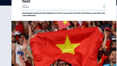 FIFA, Vietnam U17 takımının Dünya Kupası'na katılmaya hak kazanmasını sevinçle karşıladı ve özel bilgiler paylaştı.