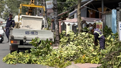 Proactively prune trees before the rainy season.