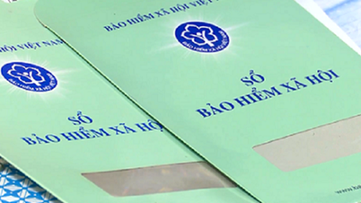 Για πόσο χρονικό διάστημα πρέπει να σταματήσετε να καταβάλλετε εισφορές κοινωνικής ασφάλισης προτού δεν δικαιούστε πλέον παροχές μητρότητας;
