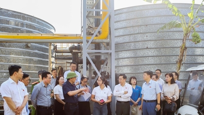 Đoàn công tác của Ủy ban Khoa học, Công nghệ và Môi trường khảo sát tại Nhà máy dệt nhuộm Sunrise Việt Nam