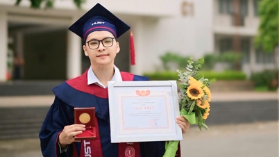 Ce brillant diplômé de l'Université de Technologie de Hanoï possède des compétences en programmation et une solide éthique professionnelle.