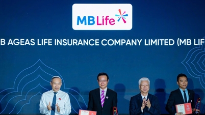 حصلت شركة MB Life على جائزة التنين الذهبي للمرة الرابعة.