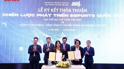 Nâng tầm Esports thành động lực mới của kinh tế sáng tạo