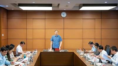 국회 당위원회 자문·지원 기관 당위원회 집행위원회 제10차 회의