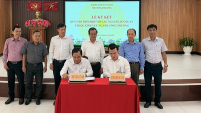 Semnarea acordului de cooperare dintre Departamentul Industriei și Comerțului și Compania Energetică Tay Ninh.