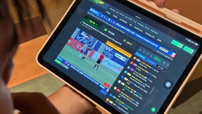 Vad säger experter om att skydda immateriella rättigheter i den digitala miljön?