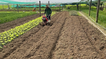 کسانوں کی تنظیم اور محفوظ خوراک کی پیداوار کی تحریک