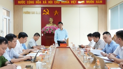 Liderii provinciali inspectează dezvoltarea sincronizată a bazei de date funciare din districtele Cao Xanh și Lien Hoa.