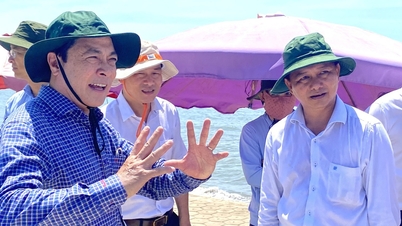 Projet d'aménagement de la plage de Ba Dong en une destination touristique attrayante.