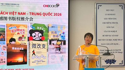 Promoting and showcasing Vietnamese literature to the Chinese market.