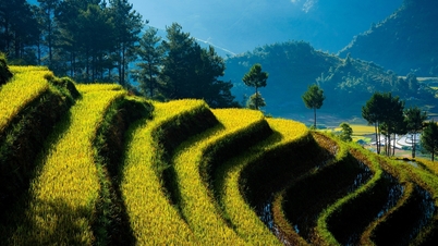 Periódico canadiense: Vietnam es un destino ideal para unas vacaciones prolongadas.