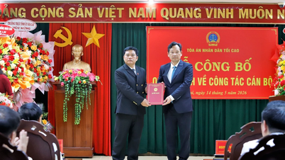 Herr Bui Danh Dai bekleidet das Amt des Obersten Richters des Volksgerichts der Provinz Gia Lai.